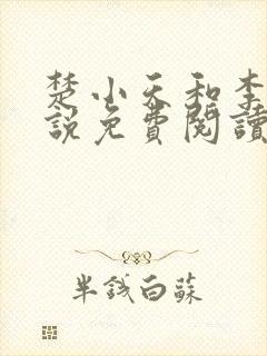 楚小天和李婶小说免费阅读