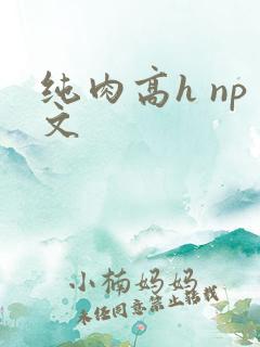 纯肉高h np文