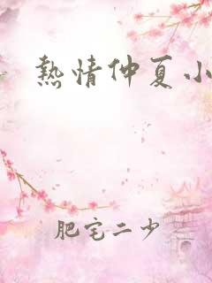 热情仲夏小说