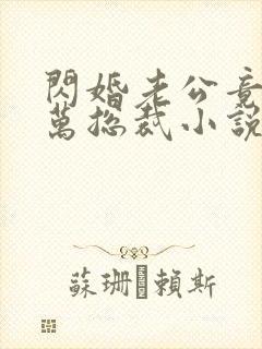 闪婚老公竟是亿万总裁小说小说