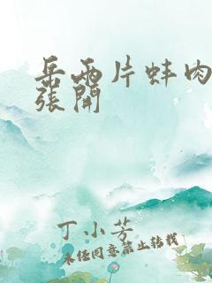 岳两片蚌肉缓缓张开