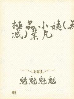 极品小姨(无删减)叶凡