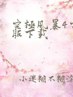 究极风暴4电脑版下载