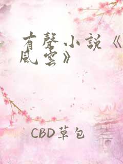 有声小说《官路风云》