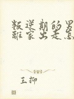 叛逆期的男孩子离家出走怎么去引导初中生