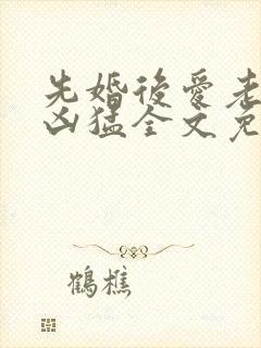 先婚后爱老公很凶猛全文免费阅读