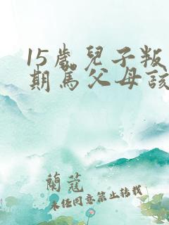 15岁儿子叛逆期骂父母该怎么办