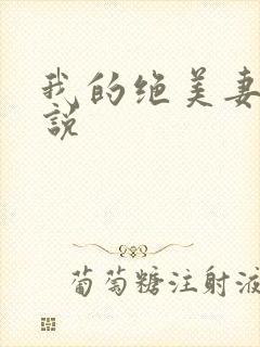 我的绝美妻子小说