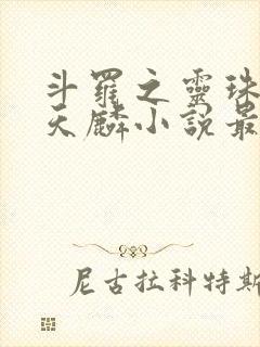 斗罗之灵珠神剑天麟小说最新章节在线