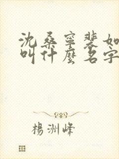 沈桑宁裴如小说叫什么名字