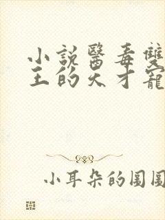 小说医毒双绝冥王的天才宠妃