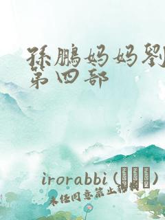 孙鹏妈妈刘淑英第四部