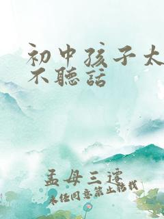 初中孩子太叛逆不听话