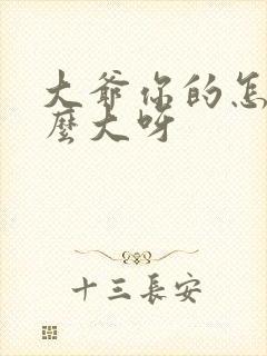 大爷你的怎么这么大呀