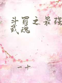 斗罗之最强治疗武魂