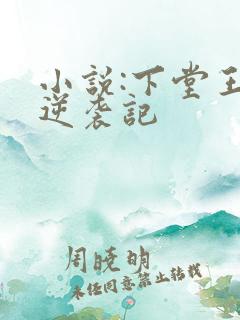 小说:下堂王妃逆袭记