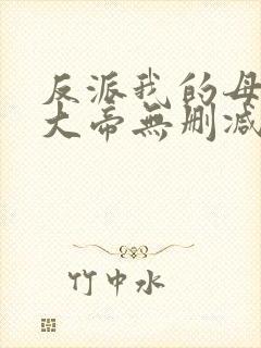 反派我的母亲是大帝无删减