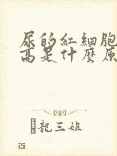 尿的红细胞计数高是什么原因