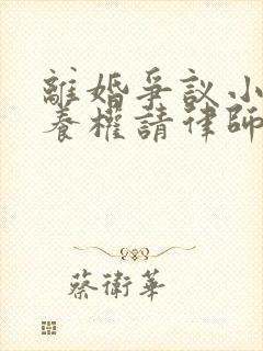 离婚争议小孩抚养权请律师要多少钱