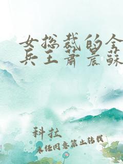 女总裁的全能型兵王萧晨苏晴