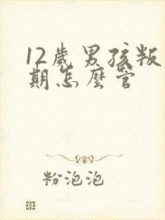 12岁男孩叛逆期怎么管