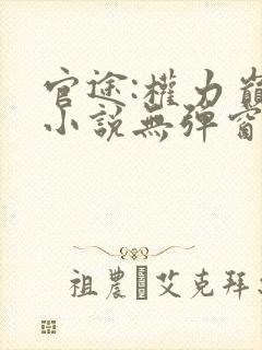 官途:权力巅峰小说无弹窗