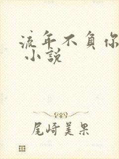 流年不负你情深 小说