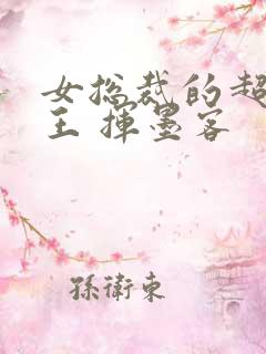 女总裁的超级兵王 挥墨客