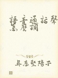 语音通话声音小怎么调