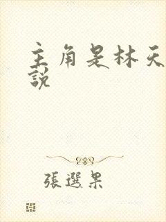 主角是林天的小说