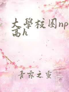 大学校园np文高h