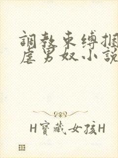 调教束缚捆绑私虐男奴小说