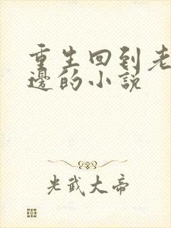 重生回到老公身边的小说