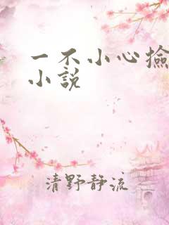 一不小心捡到爱小说