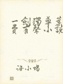 一剑独尊叶玄免费有声小说