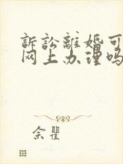 诉讼离婚可以在网上办理吗