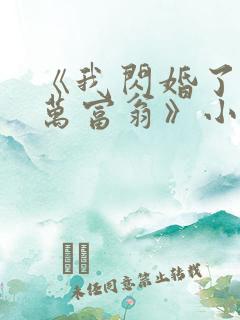 《我闪婚了个亿万富翁》小说