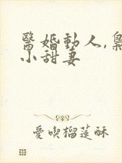 医婚动人,枭宠小甜妻