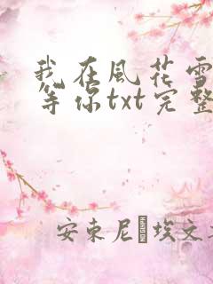 我在风花雪月里等你txt完整版