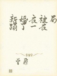 新婚夜被局长糟蹋了一夜