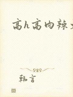 高h高肉辣文