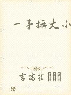 一手抚大小说