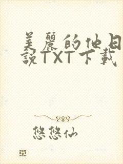 美丽的他日剧小说TXT下载