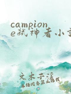 campione弑神者小说