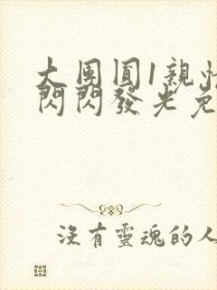 大团圆1亲情会闪闪发光免费