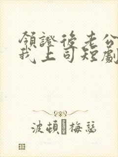 领证后老公竟是我上司短剧