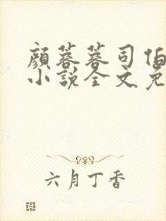 颜蓉蓉司伯珩的小说全文免费阅读