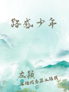 路感少年