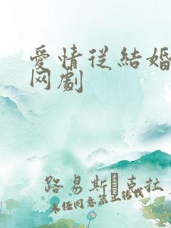 爱情从结婚开始网剧