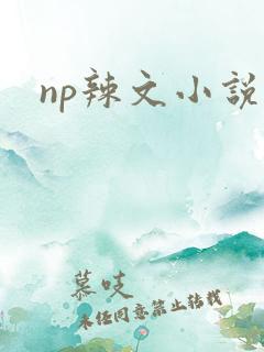 np辣文小说